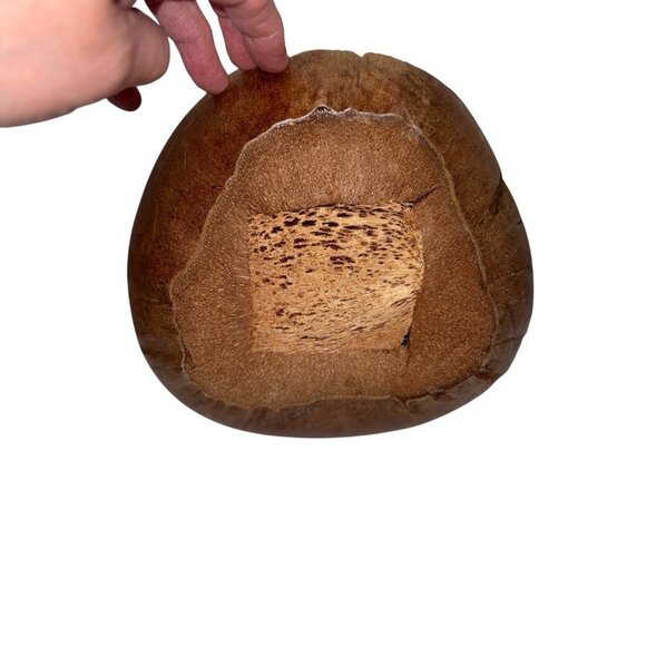 Handmade Wise Owl Wearing Glasses Coconut Shell Figurine Sculpture Kitsch BOHO - Picture 8 of 12